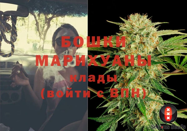 амф Беломорск
