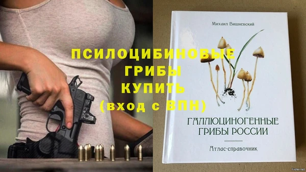 молекула духа Белокуриха