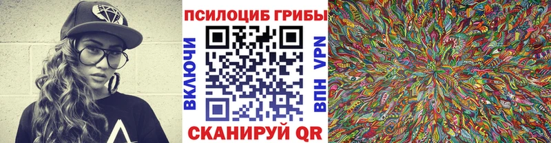 Псилоцибиновые грибы мухоморы  где продают   Западная Двина 